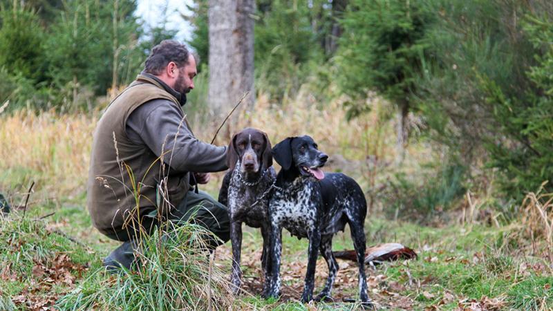 Between hunting Between hunting