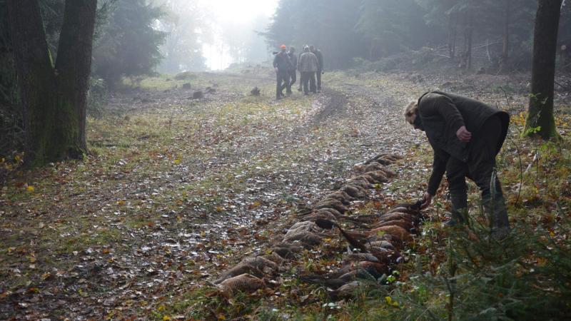 Between hunting