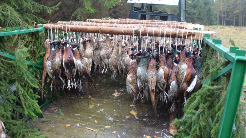 Between hunting