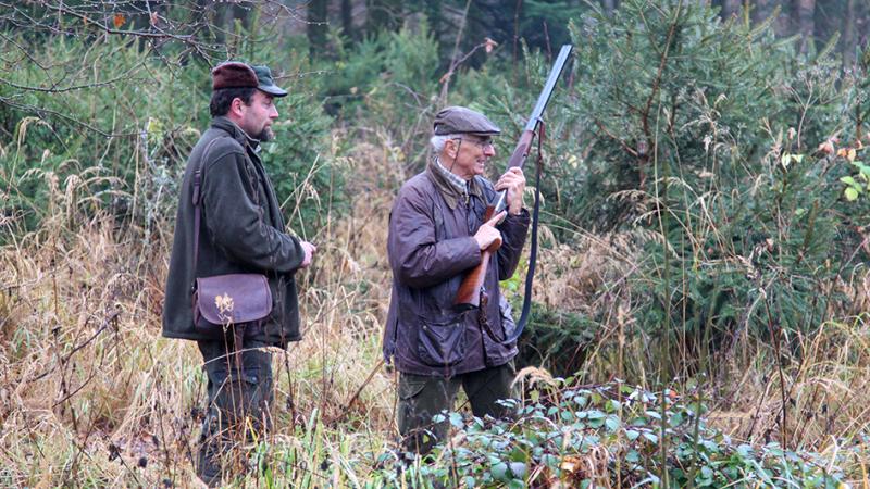 From hunting
