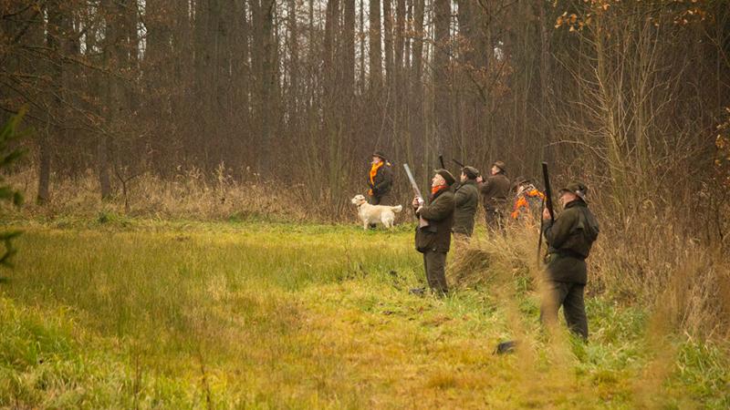 From hunting