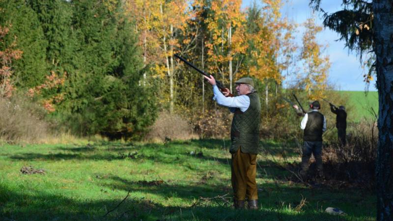 From hunting
