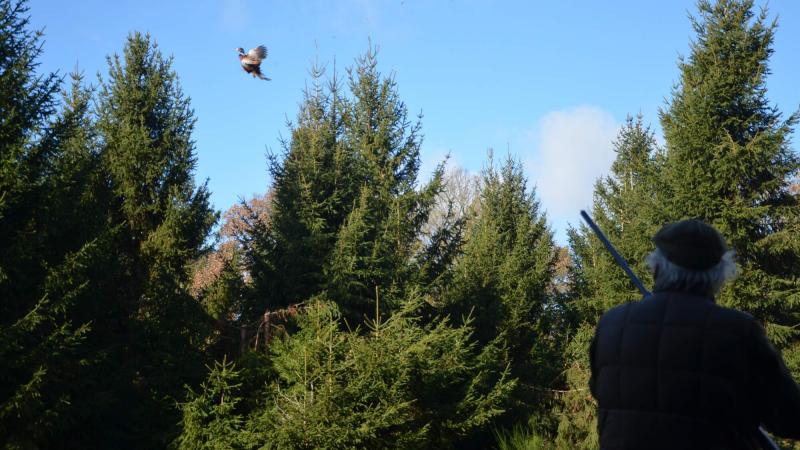 From hunting