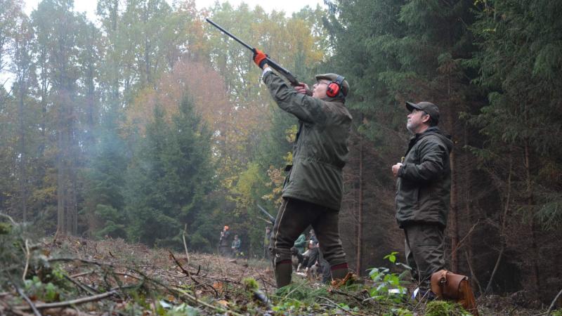From hunting