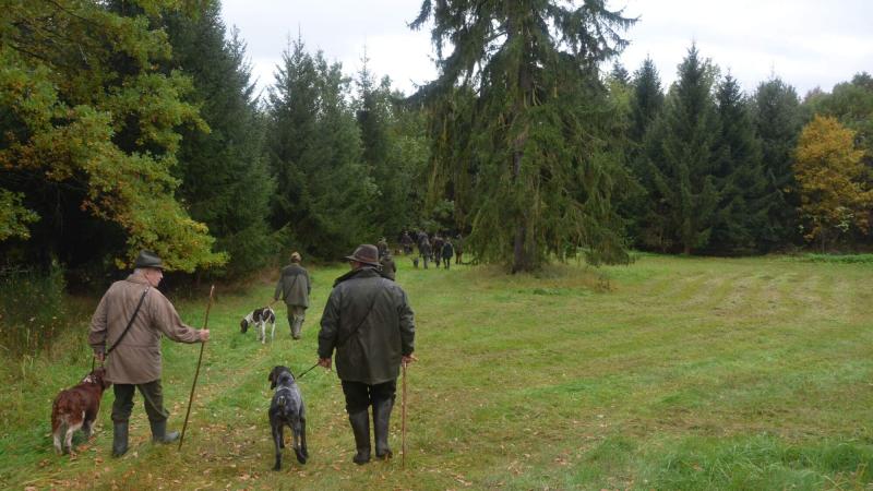 From hunting
