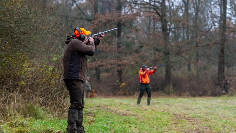 From hunting