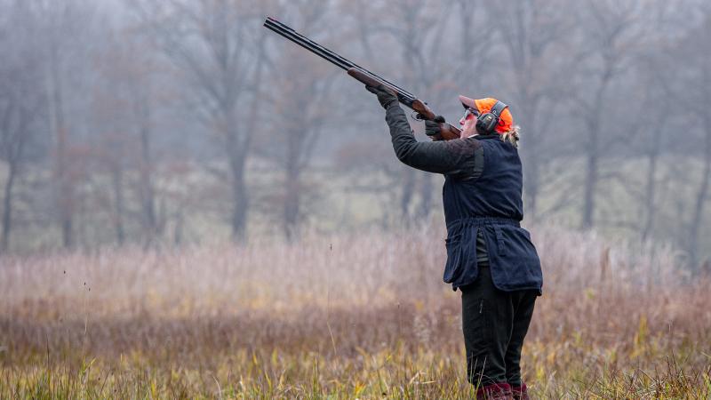 From hunting