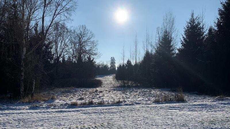 Walk –in bird hunting winter Walk –in bird hunting winter