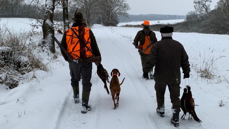Walk –in bird hunting winter