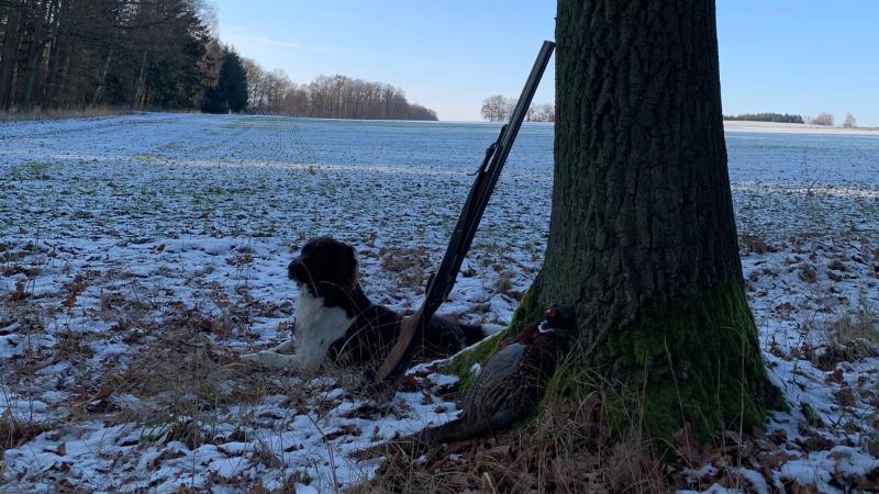Walk –in bird hunting winter
