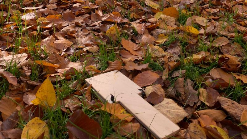 Walk –in bird hunting autumn Walk –in bird hunting autumn