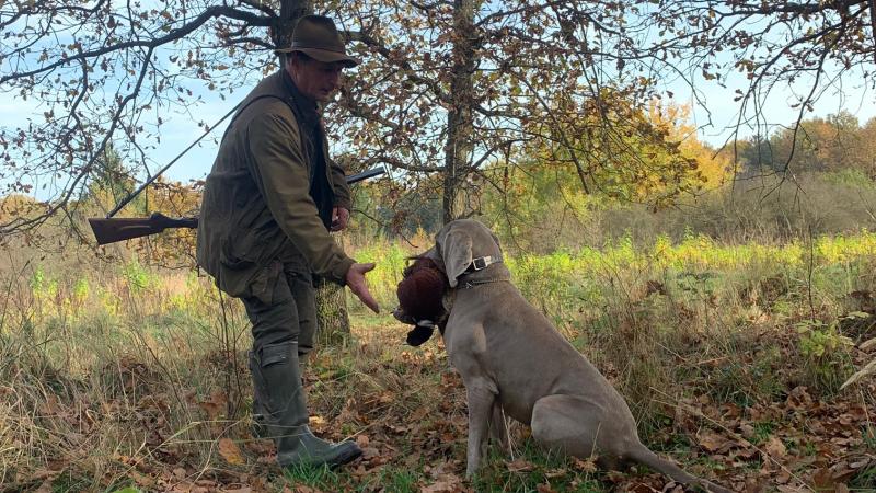 Walk –in bird hunting autumn