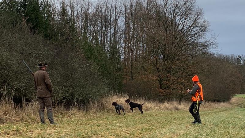 Walk –in bird hunting autumn
