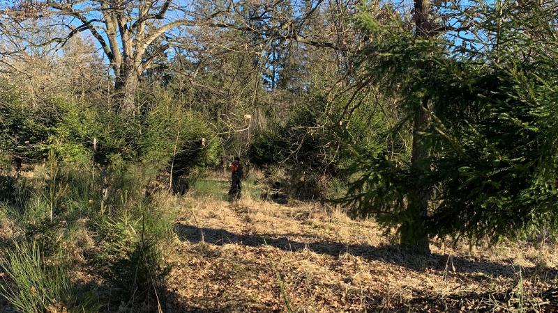Walk –in bird hunting autumn