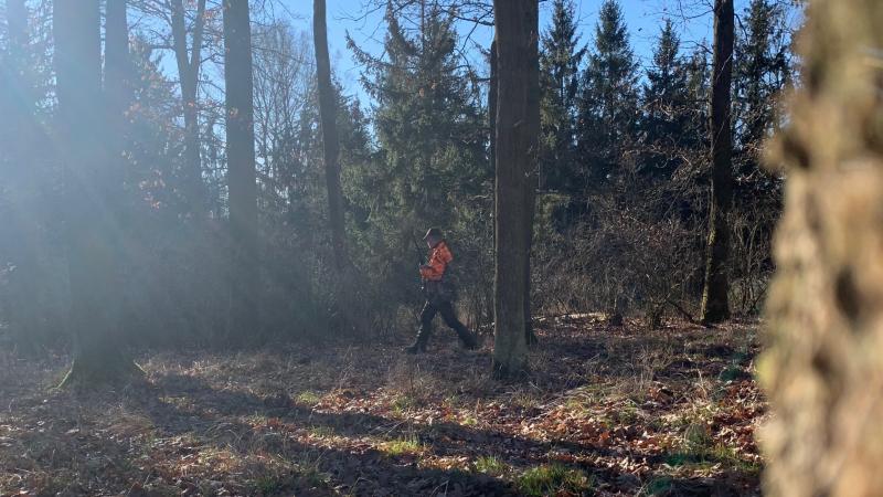 Walk –in bird hunting autumn